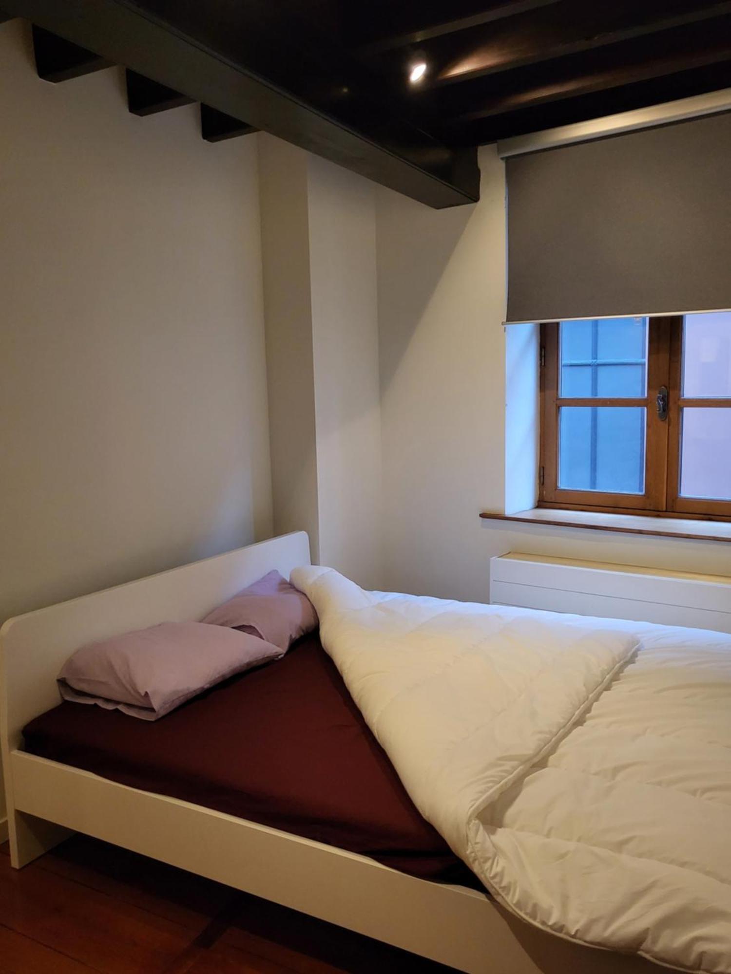 Viktoria Hostel Anvers Oda fotoğraf
